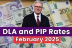 DLA and PIP Rates